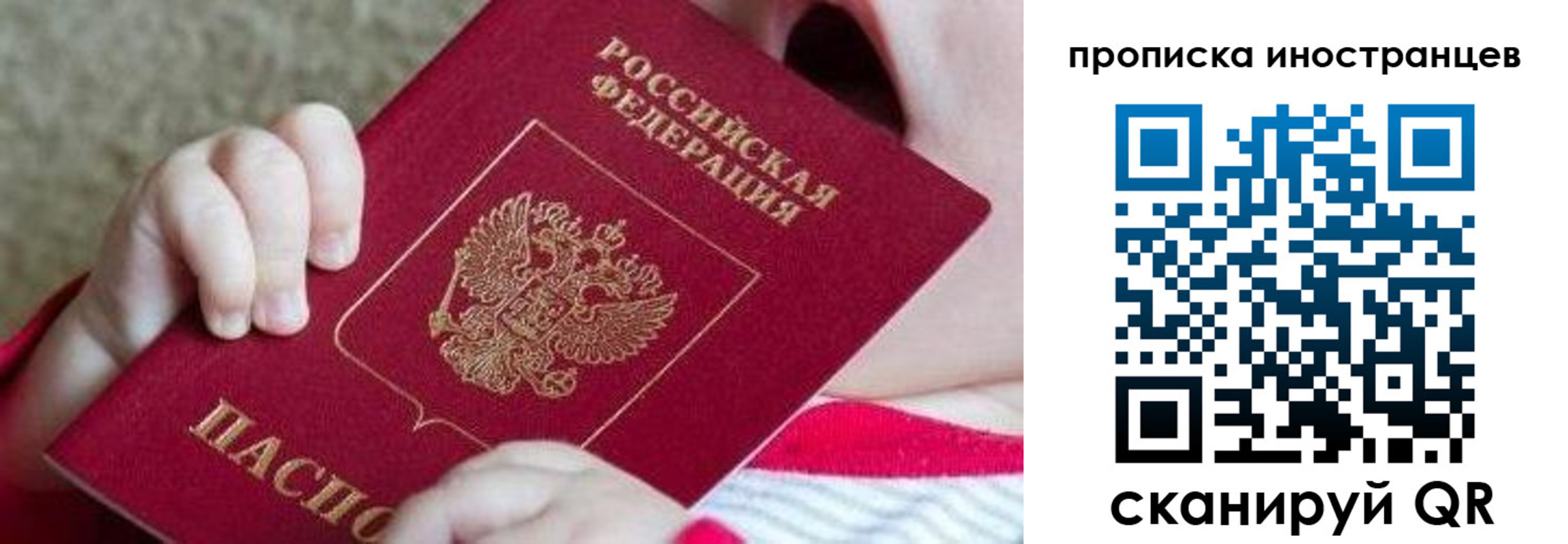 временная регистрация поиск в Камчатской области